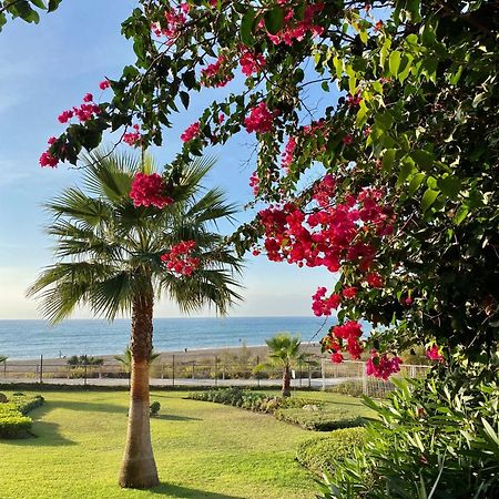 Sunshine Beach Front Complex, Wifi, Modern Casares Eksteriør billede
