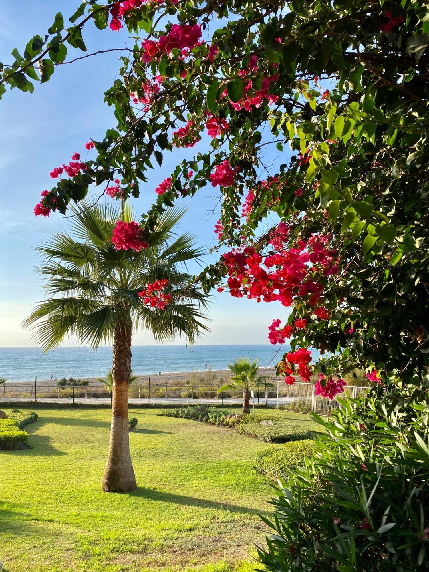 Sunshine Beach Front Complex, Wifi, Modern Casares Eksteriør billede